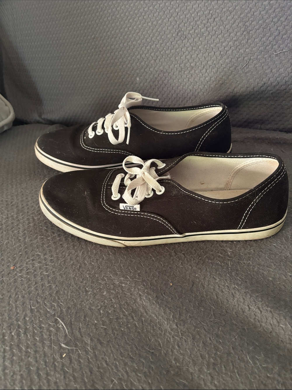 Vans Black Canvas Low-Top Sneakers with White Laces